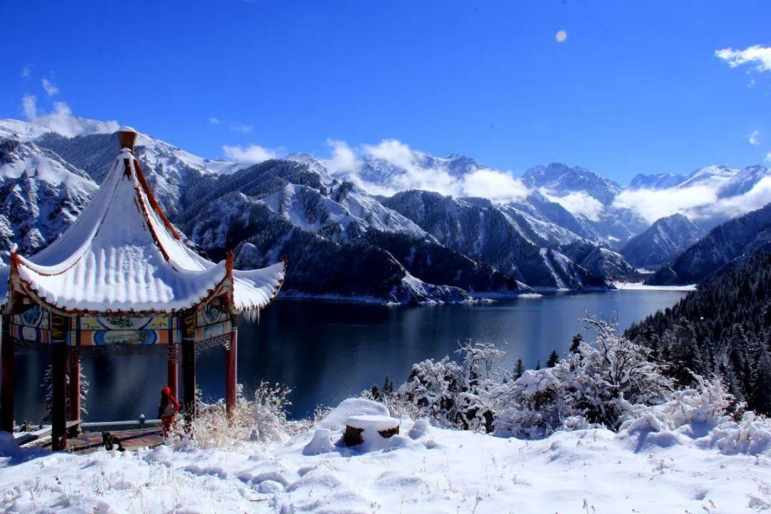 马龙:果子狸“误入”居民家中 警民齐心救助放归山林
